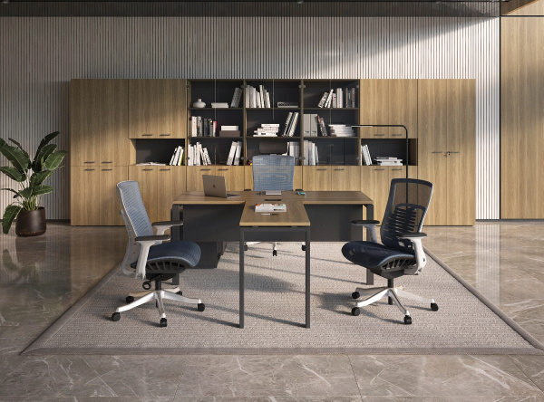 Кабинет EVOLUTION